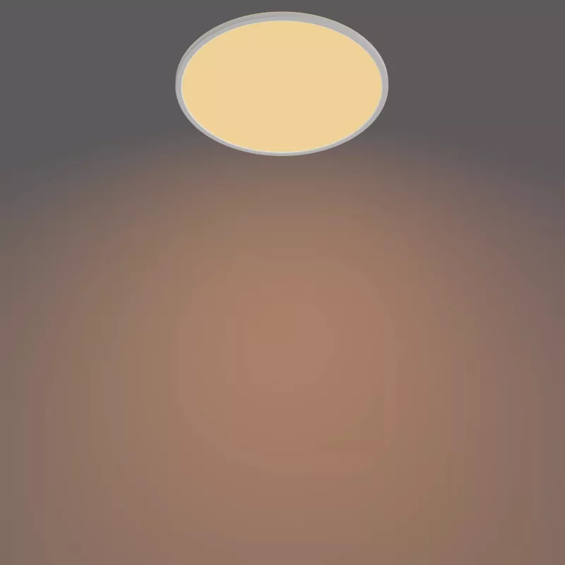 Ceiling Light Philips Functional Super Slim 22 W White Round LED