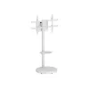 TECHLY Floor Stand with Trolley Shelf LCD/LED/Plasma TV 37inch-86inch White