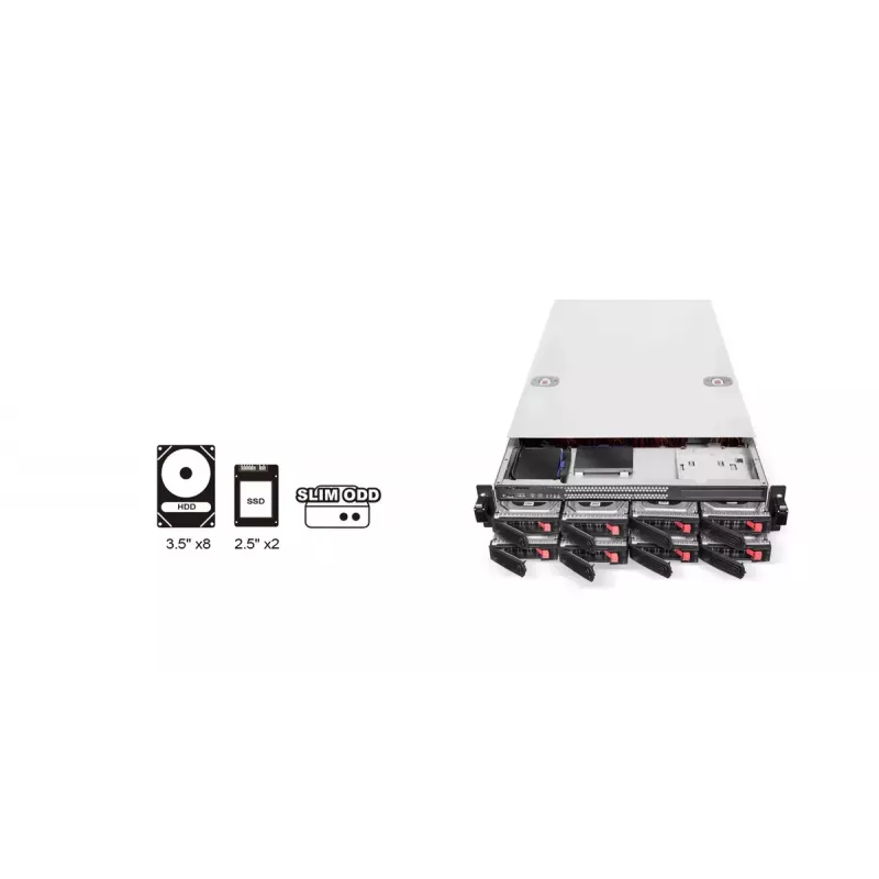 HDD enclosure Silverstone RM22-308 2.5/3.5 inch 10 drives Black White