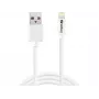 SANDBERG 440-94 SANDBERG Cable USB>Lightning 2M AppleApproved