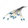 Digitus Pre-assembled Fiberglass Universal Breakout Cable, Single Mode OS2, 12 Fibers, LC/UPC - LC/UPC