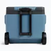 Thermoelectric cool box IGLOO IE42 - 42 qt portable DC/AC cooler