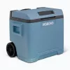 Thermoelectric cool box IGLOO IE42 - 42 qt portable DC/AC cooler