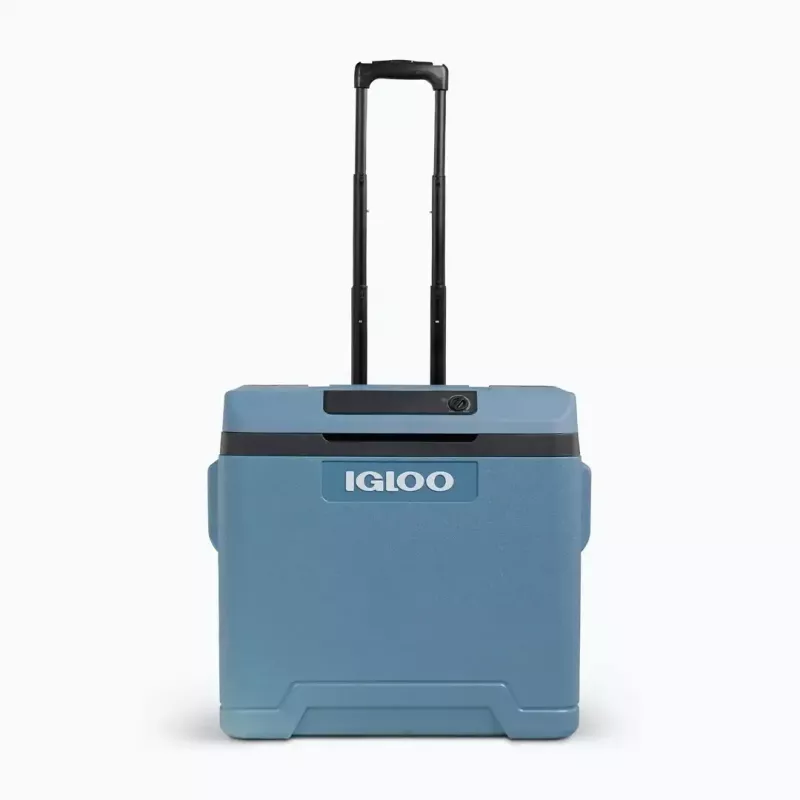 Thermoelectric cool box IGLOO IE42 - 42 qt portable DC/AC cooler