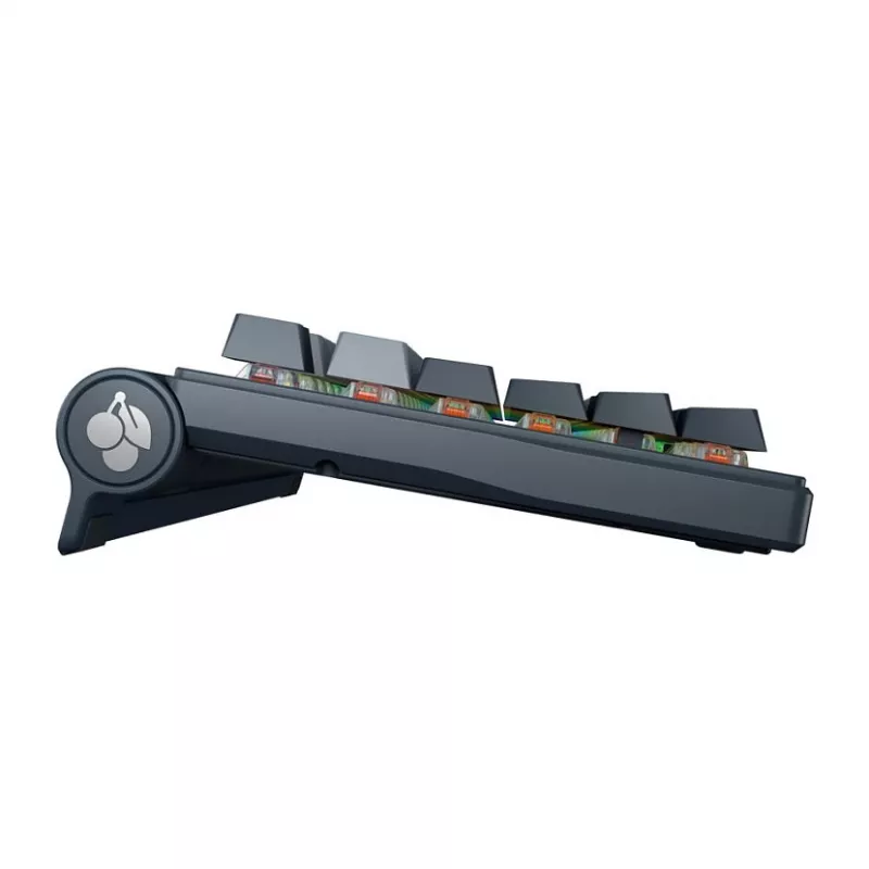 Mechanical Keyboard CHERRY MX 8.3 Wireless RGB Red Switch FR, wireless, MX Red switches