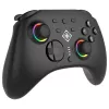 Gamepad Deltaco GAM-198 Black — Bluetooth and USB (Type-C) for Nintendo Switch, Switch 2, Switch OLED, Android, PC