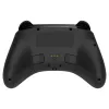 Gamepad Deltaco GAM-198 Black — Bluetooth and USB (Type-C) for Nintendo Switch, Switch 2, Switch OLED, Android, PC