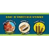 Im A Genius Set - Pencil Manufactory