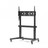 TV floor trolley EDBAK MTR200 with electric height adjustment, mobile mount for displays