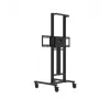 Avtek TS Electric Stand Light motorized display stand (1MV145)