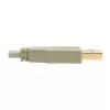 USB 2.0 A to B Cable Tripp Lite U022-006-BE 6 ft Beige