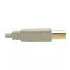 USB 2.0 A to B Cable Tripp Lite U022-006-BE 6 ft Beige