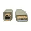 USB 2.0 A to B Cable Tripp Lite U022-006-BE 6 ft Beige