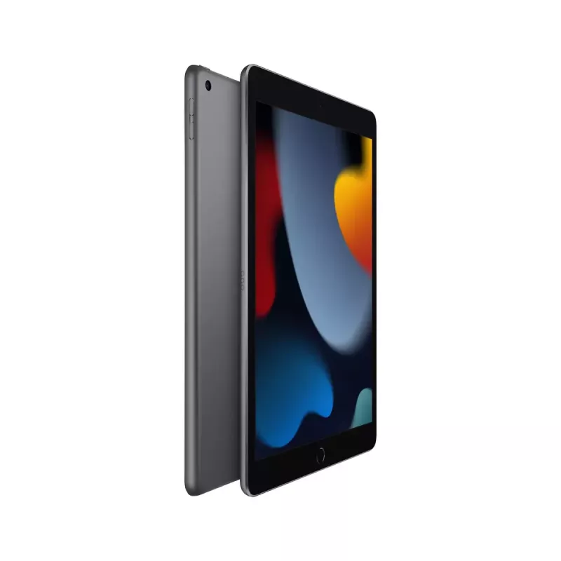 Tablet Apple iPad 10.2 inch (25.9 cm) 256 GB Wi‑Fi (802.11ac) A13, iPadOS 15, Grey, 8 MP/12 MP