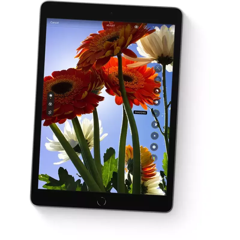 Tablet Apple iPad 10.2 inch (25.9 cm) 256 GB Wi‑Fi (802.11ac) A13, iPadOS 15, Grey, 8 MP/12 MP
