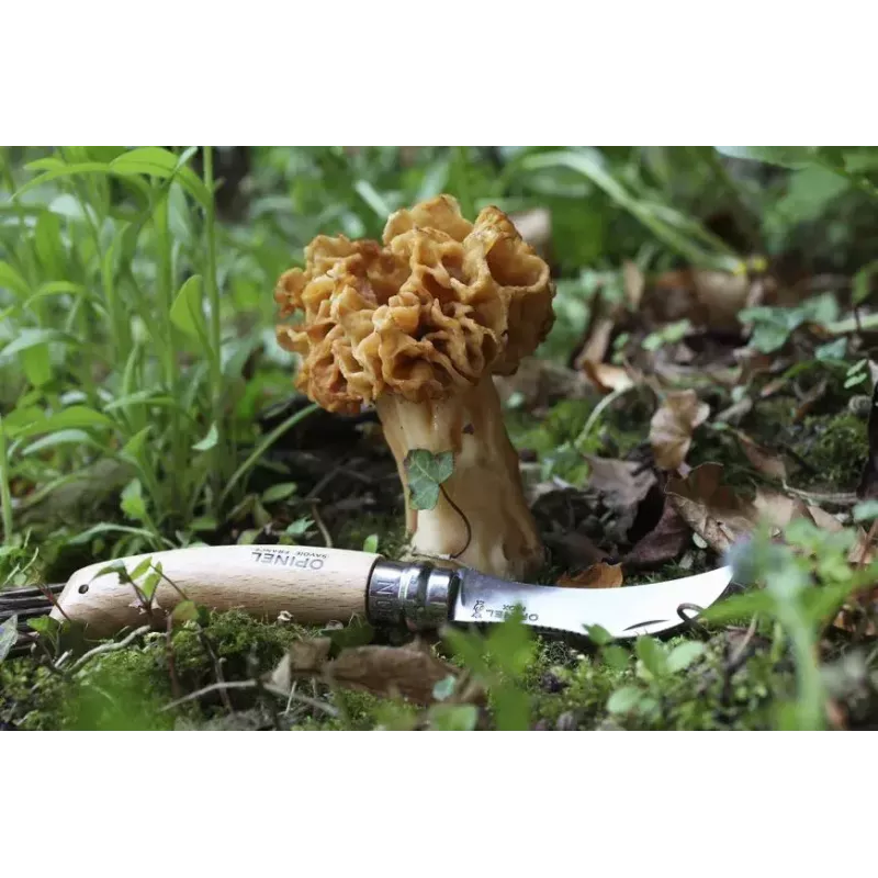 Opinel No. 08 Mushroom foldable knife w. Brush