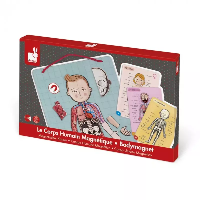 Learning toy Janod J05491 Multicolour 7 to 12 years