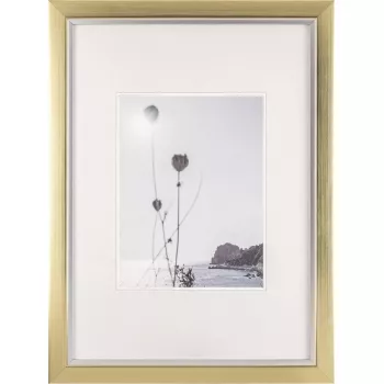 Photo frame Walther Beyond DIN A3 29.7×42 cm resin champagne/gold