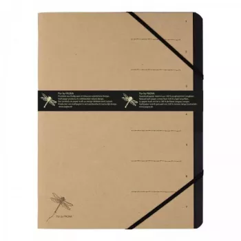 Conventional file folder Pagna 40060-11