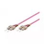 Fibre optic cable Alcasa 10m SC/SC