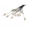 Digitus Pre-assembled Fiberglass Universal Breakout Cable Multi Mode OM4 12 Fibers LC/UPC 50m