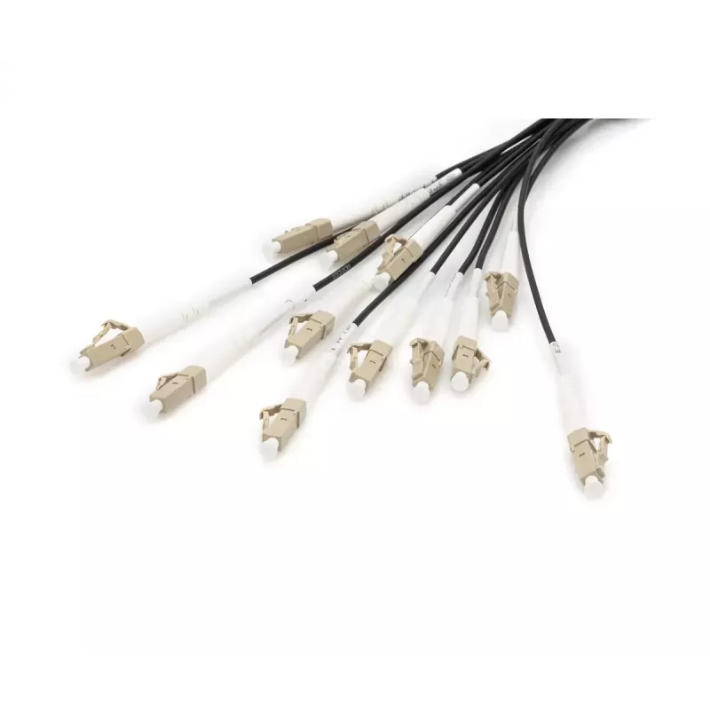 Digitus Pre-assembled Fiberglass Universal Breakout Cable Multi Mode OM4 12 Fibers LC/UPC 50m
