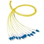 Fibre optic cable EFB Elektronik O0480.2 2 m LC Yellow