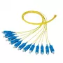 Fibre optic cable EFB Elektronik O1023.2 2m 12x SC Yellow