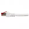 Networking cable EFB Elektronik K5518.25 RJ-45 Cat6 25 m White