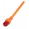 Networking cable EFB Elektronik K5516.50 RJ-45 Cat6 50 m Orange