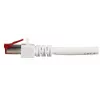 Networking cable EFB Elektronik K5518.50 RJ-45 Cat6 50 m White