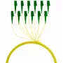 EFB Elektronik FTTH-PIGTAIL-LCA1 2m LC/APC 6x LC OS2 Fibre Optic Cable