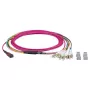 Fibre optic cable EFB Elektronik MTPF08LCOM4-5 5 m