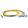 Fibre optic cable EFB Elektronik MTPF12LCOS2-2