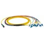 Fibre optic cable EFB Elektronik MTPF12LCOS2-3