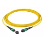 Fibre optic cable EFB Elektronik MTPF12MTPFOS2-1