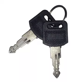 Locking key EFB Elektronik 102115.4 for rack accessories, black, IP55, pack of 2