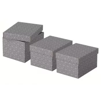Storage box Esselte 628281 Grey Rectangular 200x255x150 mm