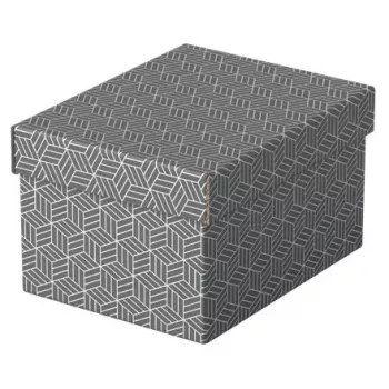 Storage box Esselte 628281 Grey Rectangular 200x255x150 mm