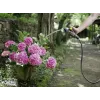 Hose Kärcher Performance Premium 1/2 inch-50m