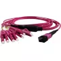 GRAFENTHAL GTOM4MPOU4LCU00500 InfiniBand Fibre Optic Cable 5m MPO 4x LC OFC