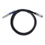 DAC Cable BlueOptics PAN-QSFPDD-DAC-1M-BL QSFP-DD InfiniBand 1m Black