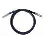 DAC Cable BlueOptics PAN-QSFPDD-DAC-2M-BL QSFP-DD InfiniBand 2m Black