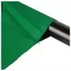 Walimex 16550 Cloth Background, Green, 2.85 x 6 m