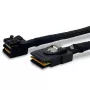 Mini SAS cable FANTEC SRC SFF-8643 to SFF-8087 0.7 m