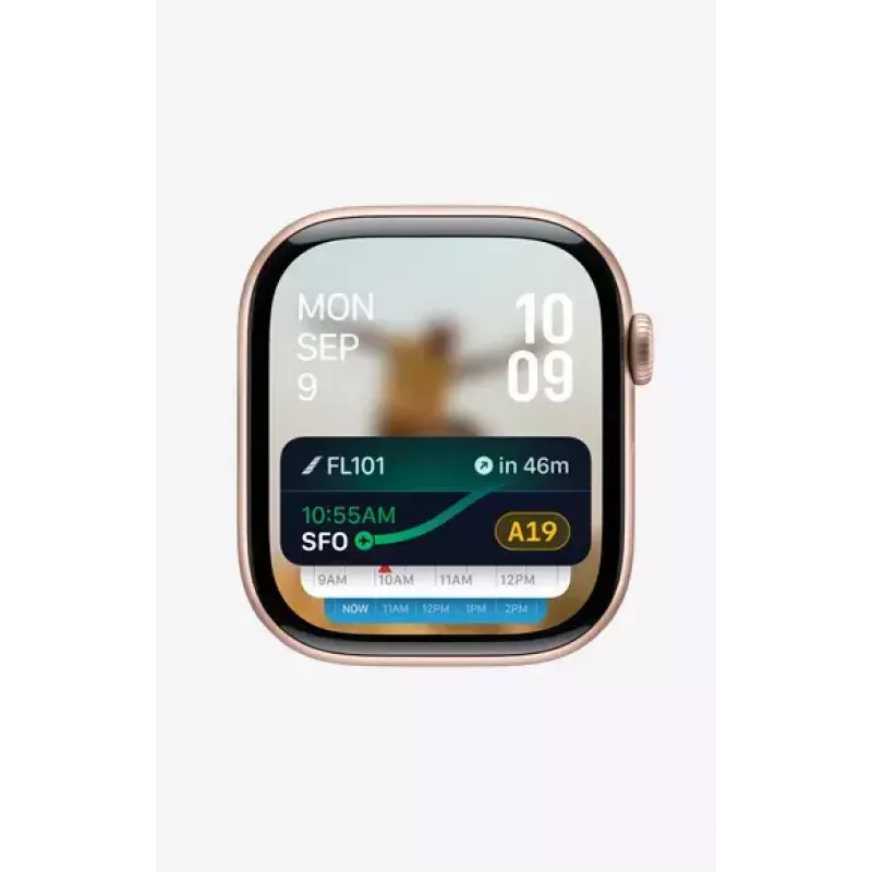 Smartwatch Apple Watch Series 10 GPS + Cellular 42mm Slate Titanium Black