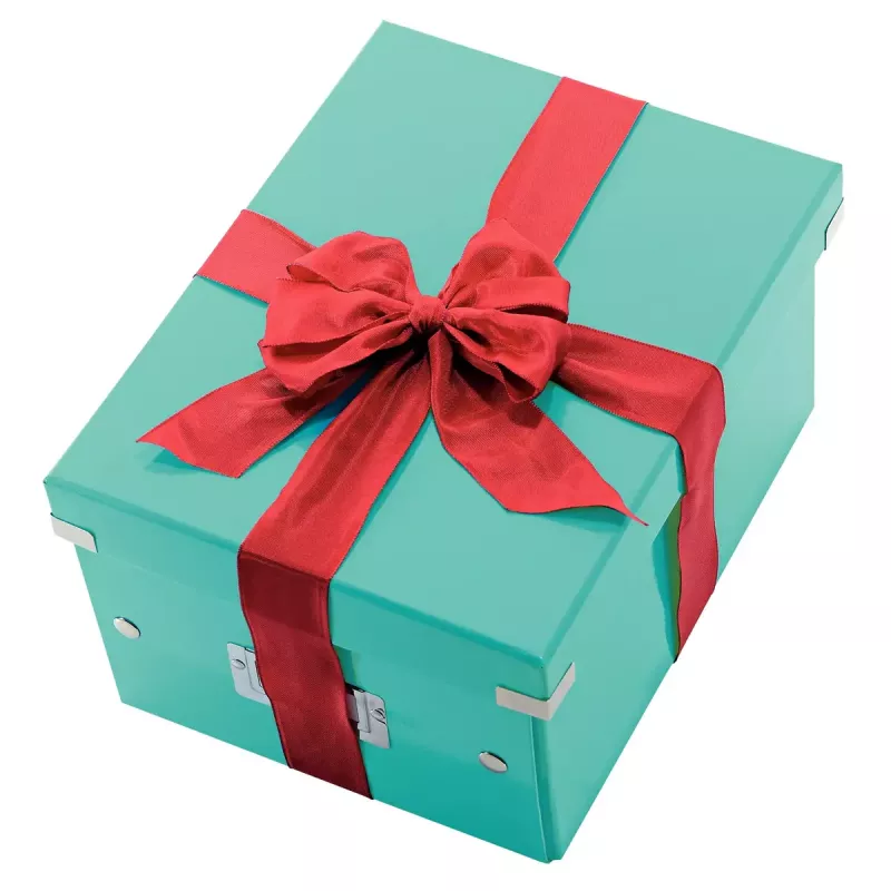 Storage Box Leitz Click & Store Medium Box