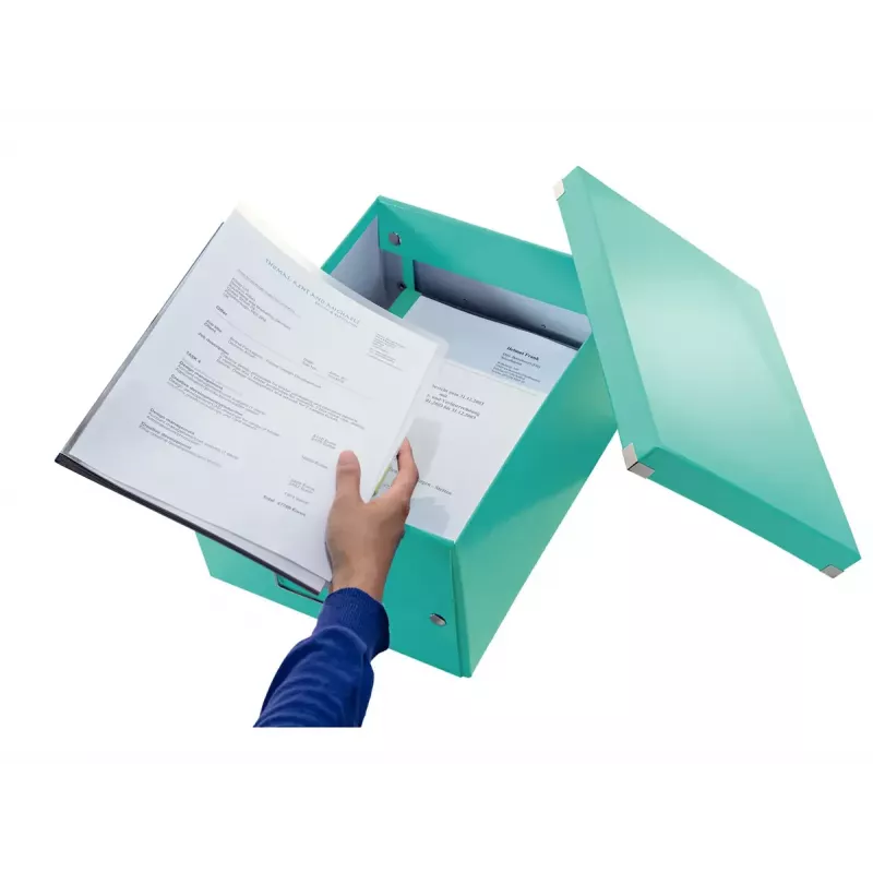 Storage Box Leitz Click & Store Medium Box