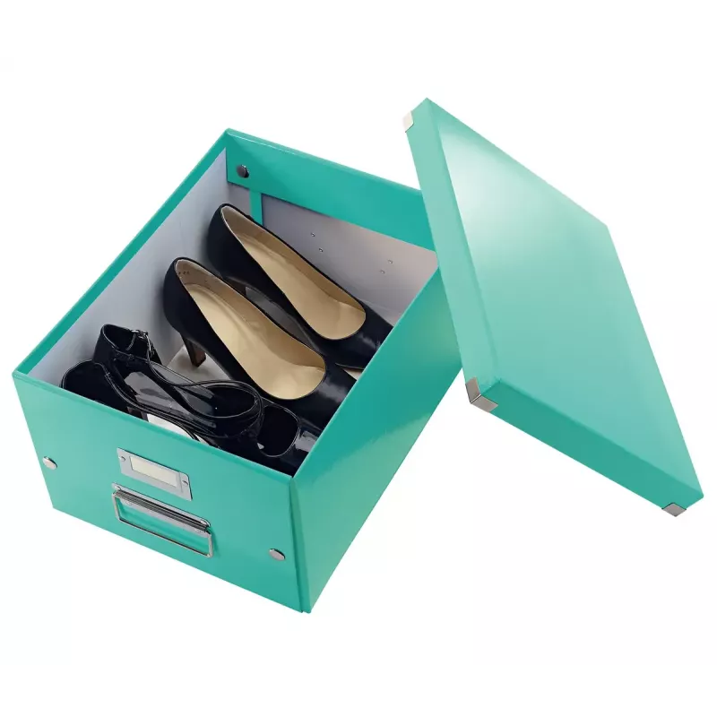 Storage Box Leitz Click & Store Medium Box