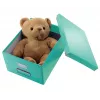 Storage Box Leitz Click & Store Medium Box